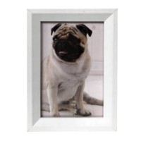 White Dog Display Frame 4"x6”